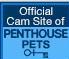 Official cam site of Penthouse