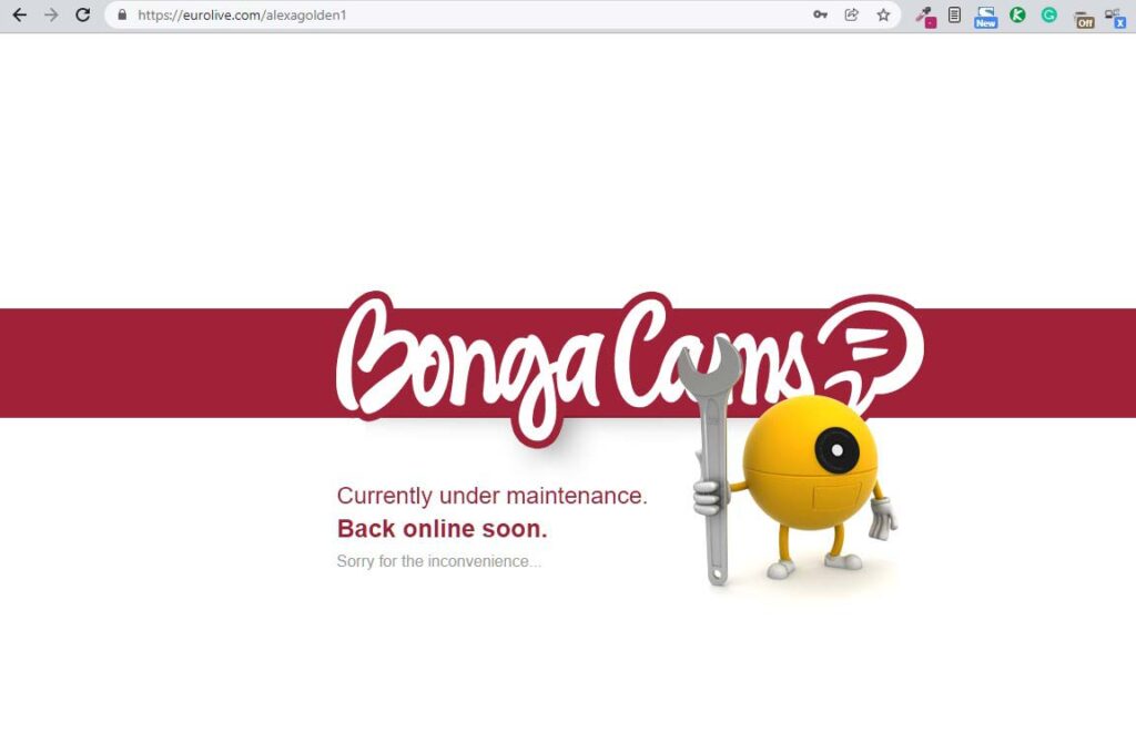 EuroLive and bongacams are both under maintenance or got errors